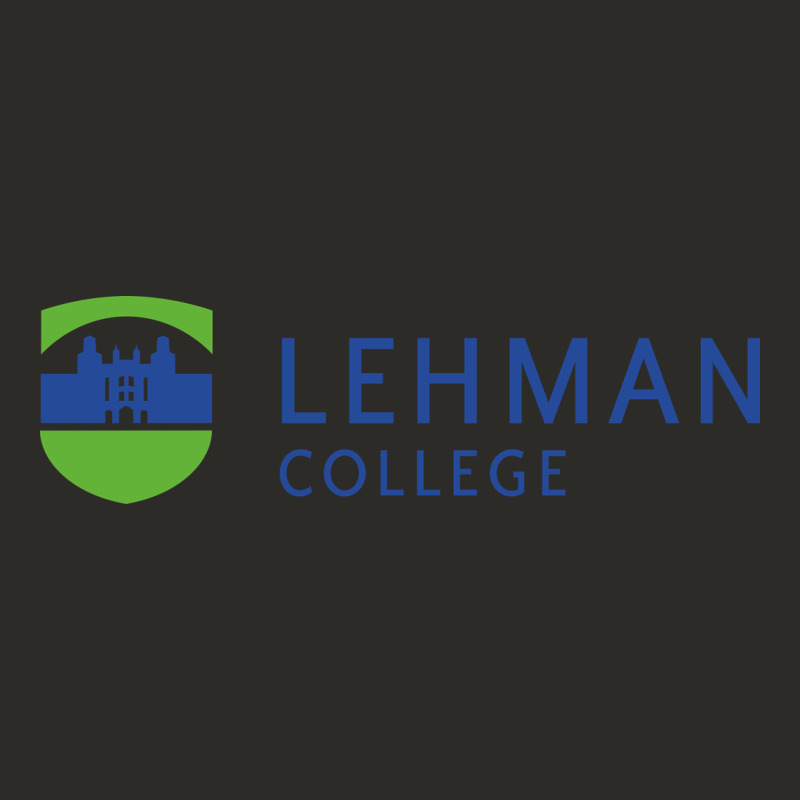 Lehman College Heavy Core Tee by linhVisuals | Teevron