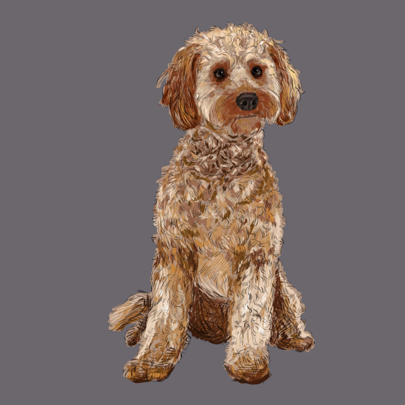 Cockapoo Premium Sweatshirt by RanaPortraitStore | Teevron