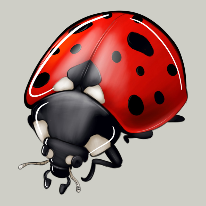 Ladybug Heavyweight Hoodie by Jasminsmagicworld | Teevron