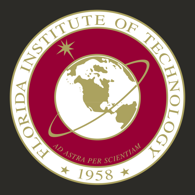 Florida Institute Of Technology Heavy Core Tee by linhVisuals | Teevron