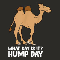 What Day Is It Hump Day Funny Camels Hump Day T Shirt Heavy Core Tee | Teevron