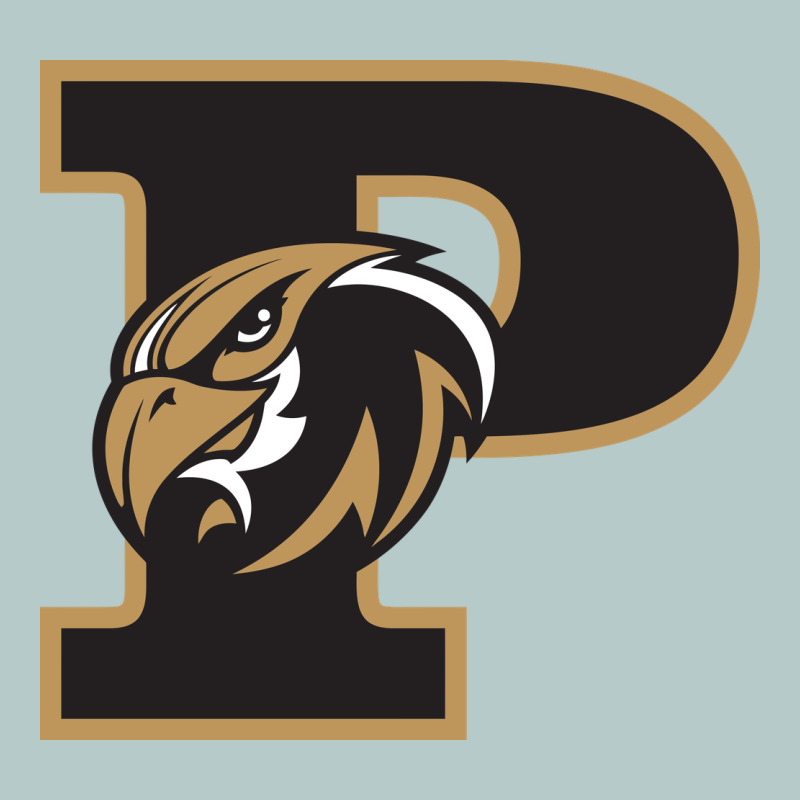 Poolesville High School Heavy Core Tee by linhVisuals | Teevron