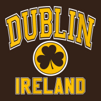 Womens Dublin Ireland Varsity Style Shamrock Green With Amber Print V Heavy Core Tee | Teevron