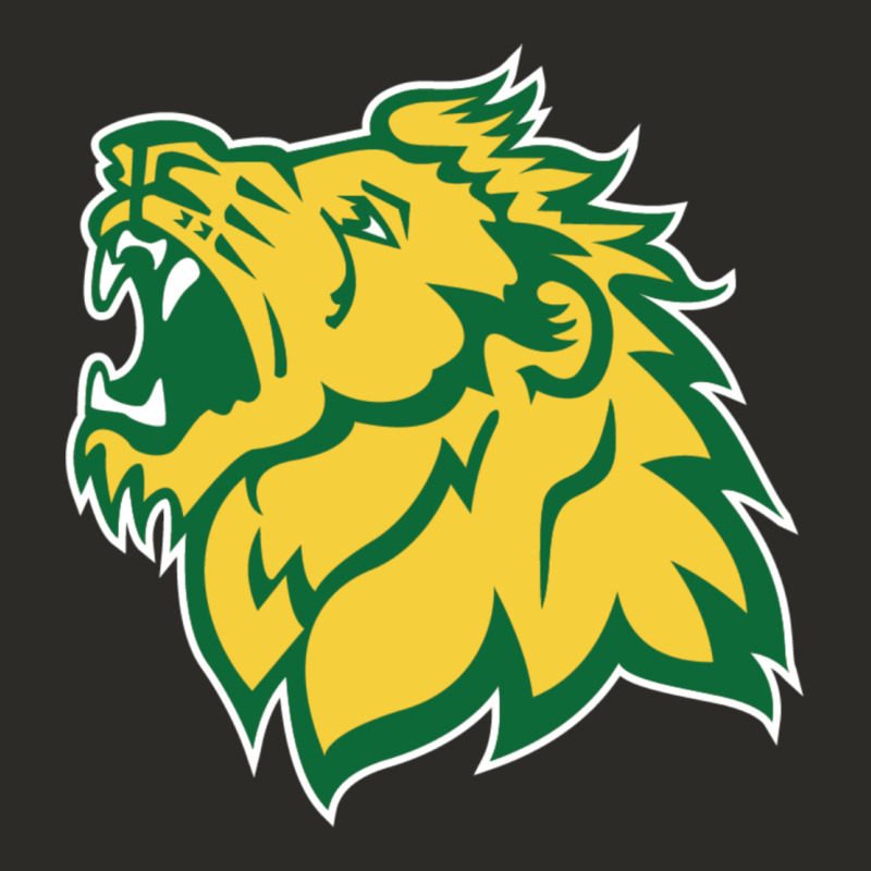 Missouri Southern, Mssu Lions Heavy Core Tee by linhVisuals | Teevron