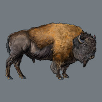 American Bison Body Heavyweight Sweatshirt | Teevron