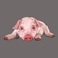 Baby Pig Urban Hoodie | Teevron