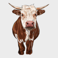 Hereford Cow Urban Hoodie | Teevron