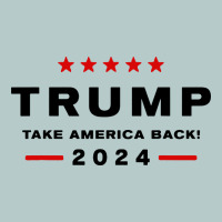 Donald Trump 2024 Take America Back Heavy Core Tee | Teevron