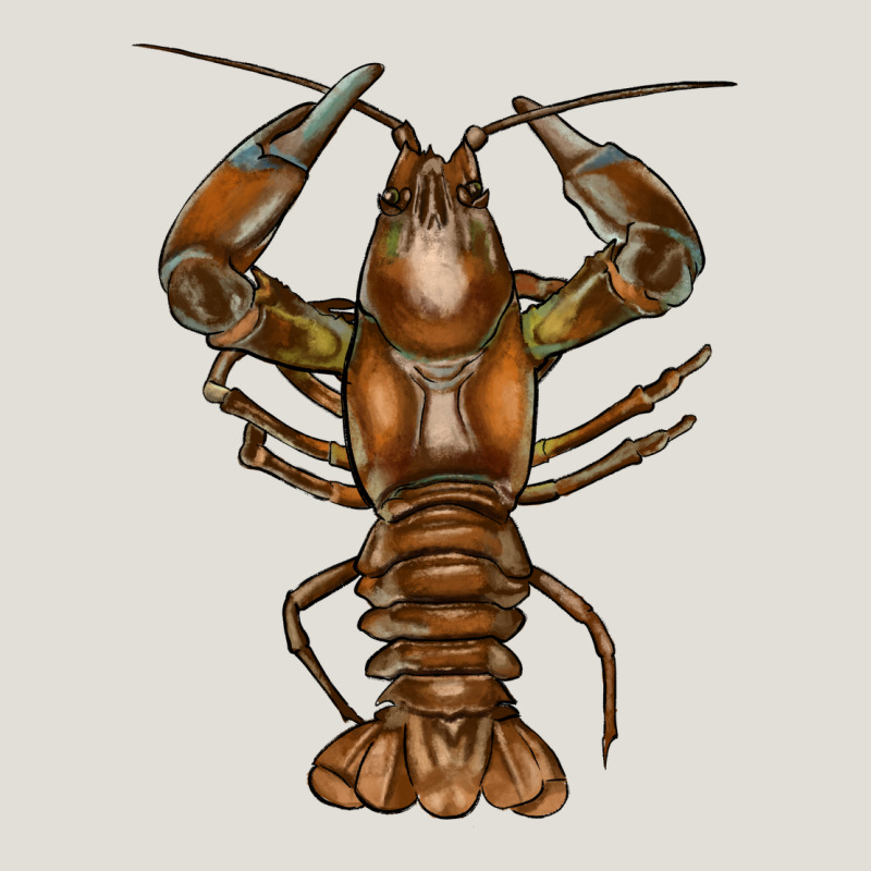 Crawfish Heavy Core Tee by FaDigitalArtStudio | Teevron