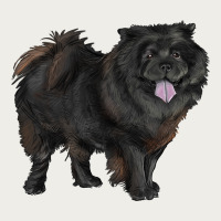 Black Chow Chow Zipper Hoodie | Teevron