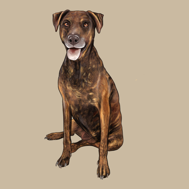 Plott Hound Long Sleeve Tee by LillyAllenDesigns | Teevron