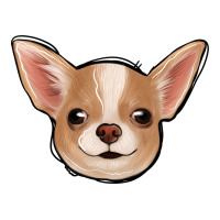 Chihuahua | Teevron