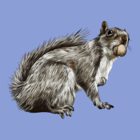 Gray Squirrel Long Sleeve Tee | Teevron