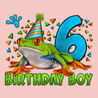 Birthday Boy Frog Age 6 Urban Heavy Tee | Teevron