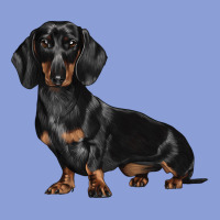 Dachshund Dog Illustrations Long Sleeve Tee | Teevron