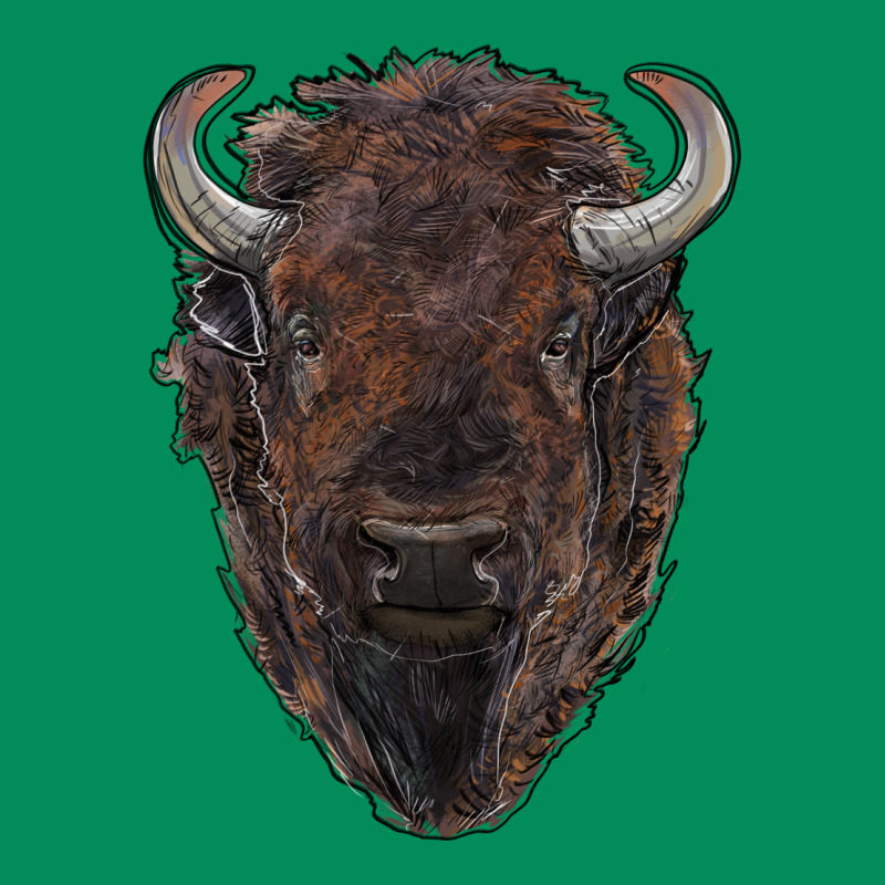 American Bison Urban Hoodie by RanaPortraitStore | Teevron