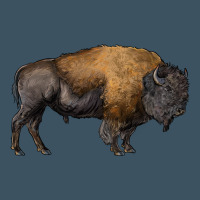 American Bison Body Urban Hoodie | Teevron