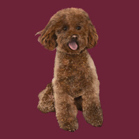 Poodles Dog Lllustrations Long Sleeve Tee | Teevron
