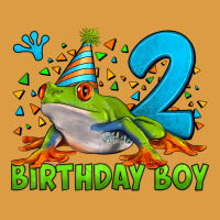 Birthday Boy Frog Age 2 Urban Heavy Tee | Teevron