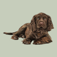 Sussex Spaniels Llustrations Long Sleeve Tee | Teevron