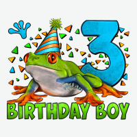 Birthday Boy Frog Age 3 Urban Heavy Tee | Teevron