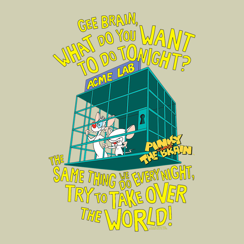 Pinky And The Brain The World Heavy Core Tee by maiPhamDesign | Teevron