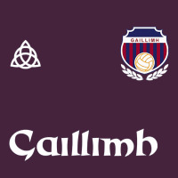 Galway Gaillimh Irish Gaelic Football And Hurling Premium Premium Tee | Teevron