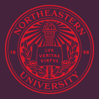 Northeastern University Premium Tee | Teevron