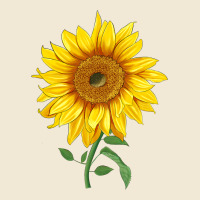 Bambino Sunflower Ladies Tee | Teevron