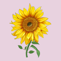 Bambino Sunflower Ladies Tee | Teevron