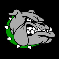 Ashville High School, Ashville Bulldogs Premium Tee | Teevron