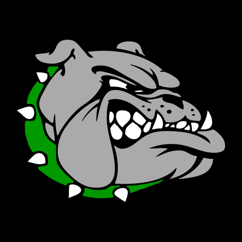 Ashville High School, Ashville Bulldogs Premium Tee by PixelFlow | Teevron