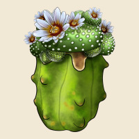 Blossfeldia Cactus Ladies Tee | Teevron