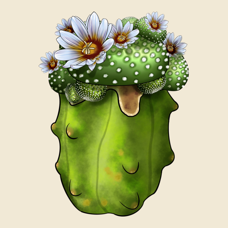 Blossfeldia Cactus Ladies Tee by LillyAllenDesigns | Teevron