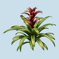 Bromeliads Ladies Tee | Teevron