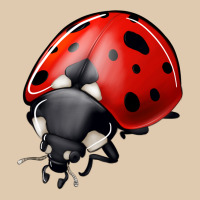 Ladybug Heavyweight Sweatshirt | Teevron