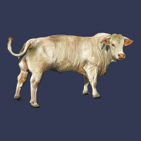 Charolais Bull Heavyweight Hoodie | Teevron