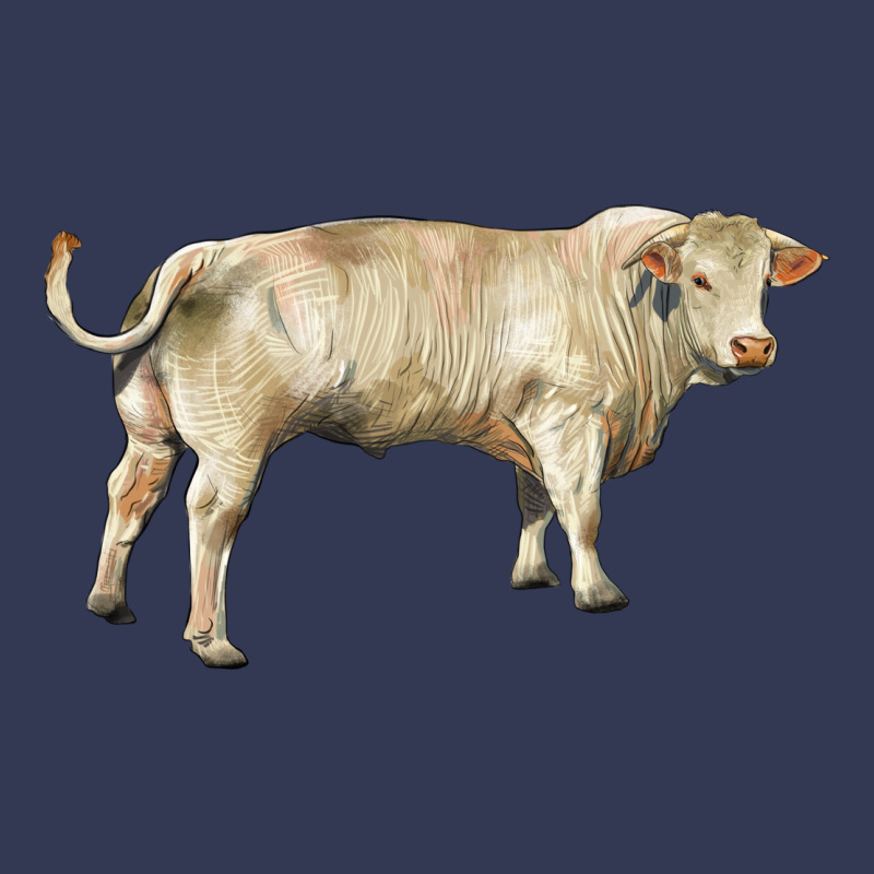 Charolais Bull Heavyweight Hoodie by RanaPortraitStore | Teevron