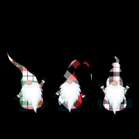 Chillin' With My Gnomies For Light Premium Tee | Teevron