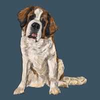 Saint Bernard Urban Heavy Tee | Teevron