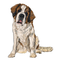 saint bernard | Teevron