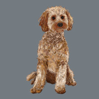 Cockapoo Heavyweight Sweatshirt | Teevron