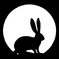 Bunny And Full Moon Funny Premium Tee | Teevron