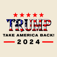 Donald Trump 2024 Take America Back Election Premium Tee | Teevron