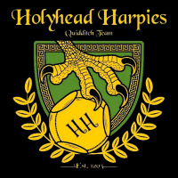 Holyhead Harpies Premium Tee | Teevron