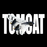 F 14 Tomcat F14 Navy Jet Fighter Plane Tshirt Pilot T Shirt Premium Tee | Teevron