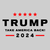 Donald Trump 2024 Take America Premium Tee | Teevron