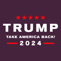 Donald Trump 2024 Take America Premium Tee | Teevron