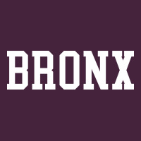 Bronx Premium Tee | Teevron