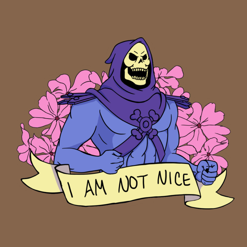 Vintage Skeletor ı Am Not Nice Premium Tee by artisFamous | Teevron